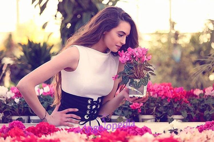 Jana Sader Miss Universe Lebanon 2017