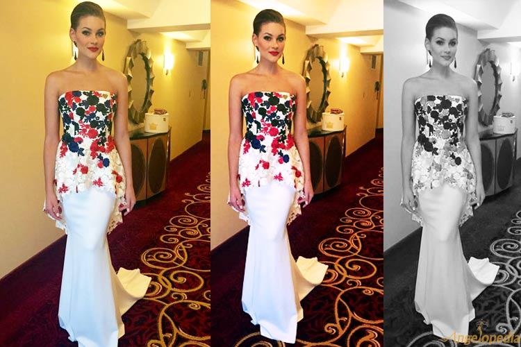 Rolene Strauss at Variety Telethon 2015 event in Iowa