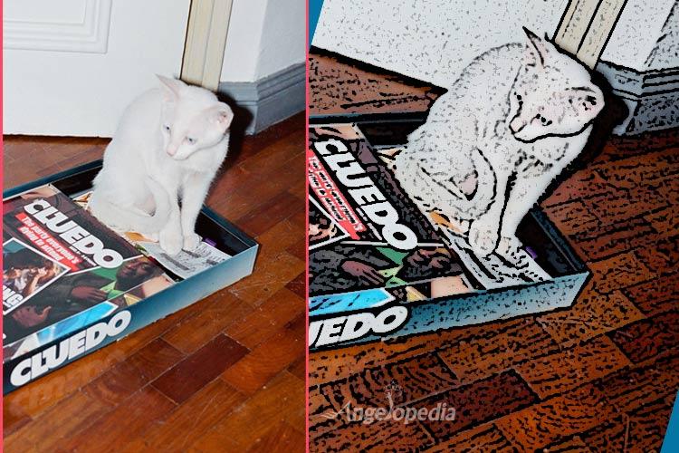 Kira and her fun moments with Megan