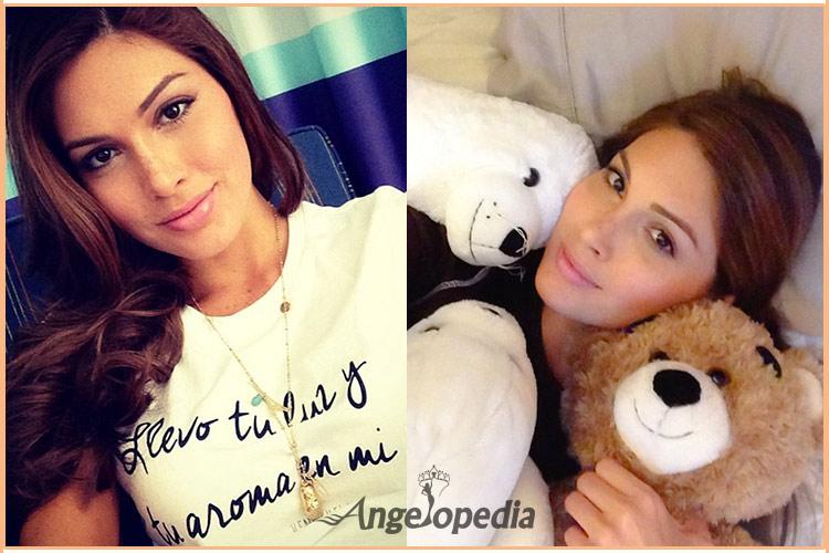 Miss Universe 2013 Gabriella Isler